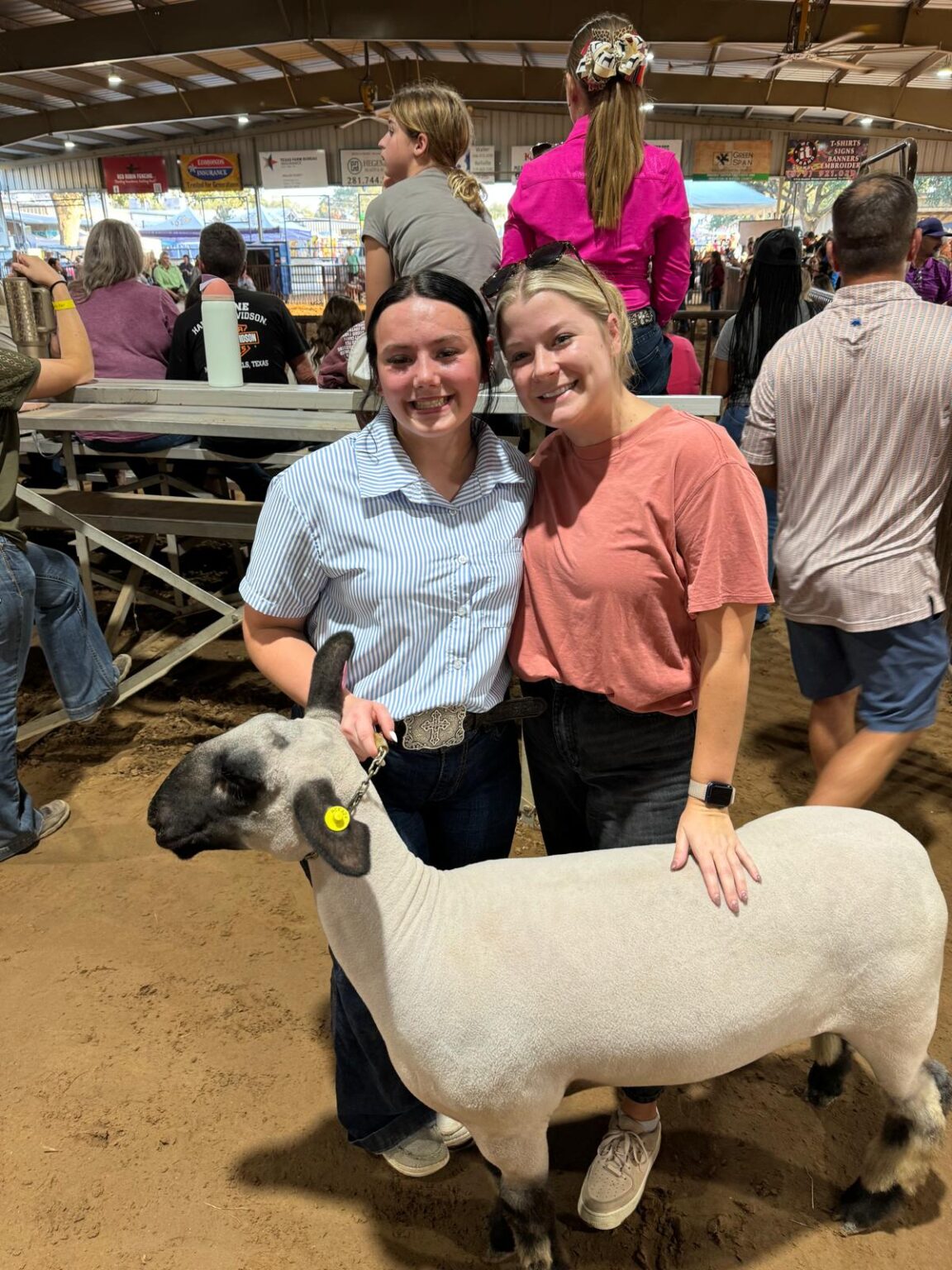 Waller County Fair | 4-H - Boys And Girls Country Of Houston